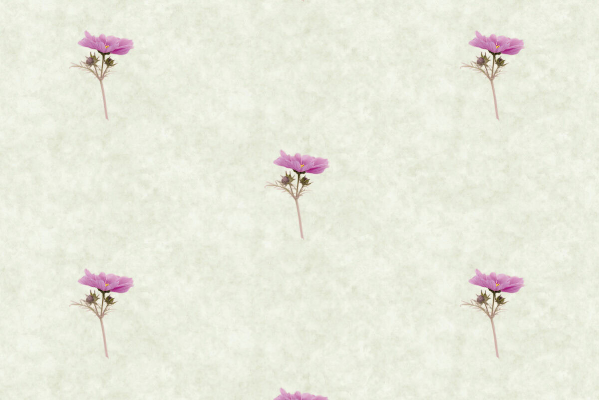 Ανθισμένα λουλούδια ΝΕΚΤΑΡ σε ήρεμο φόντο, ιδανικά για χαλάρωση και ανανέωση.