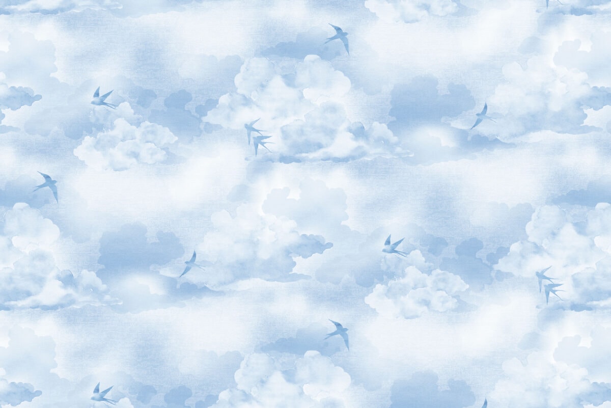 Ουρανός με σύννεφα και πουλιά, ιδανικό για το θέμα SKY.